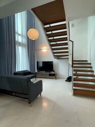 Suites At Orchard (D9), Apartment #497942031